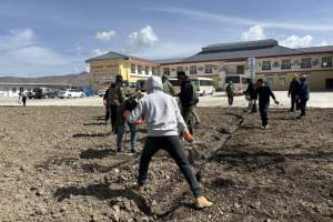 工作简报-花香溢宿舍，温情满家园